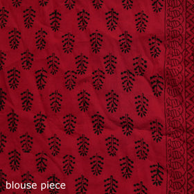 Bagh Hand Block Print Natural Dyed Cotton Saree 01