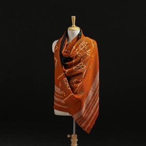 Brown - Kutch Handwoven Mirror Work Bandhani Tie-Dye Bagida Merino Wool Shawl 21