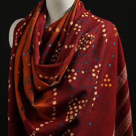 Kutch Handwoven Mirror Work Bandhani Tie-Dye Bagida Merino Wool Shawl 22