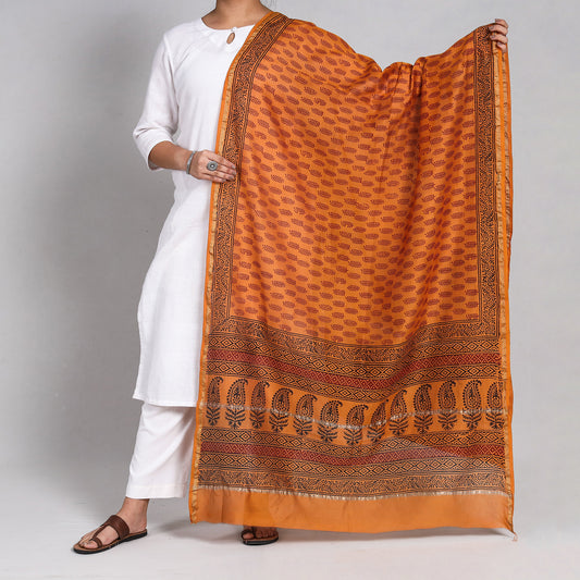 Orange - Bagh Block Printed Chanderi Silk Handloom Dupatta
