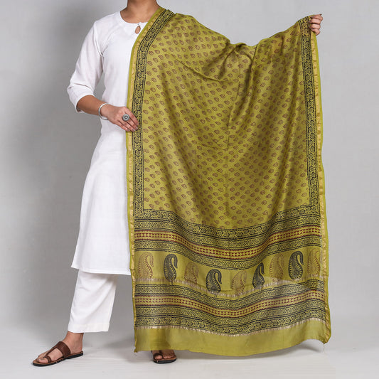 Green - Bagh Block Printed Chanderi Silk Handloom Dupatta