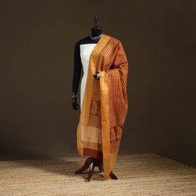 Bagh Hand Block Print Natural Dyed Tissue Zari Chanderi Silk Dupatta 10