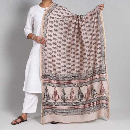 Grey - Bagh Block Printed Chanderi Silk Handloom Dupatta