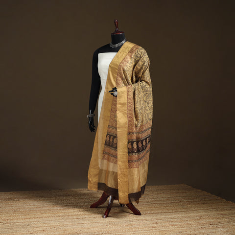 Bagh Hand Block Print Natural Dyed Tissue Zari Chanderi Silk Dupatta 41