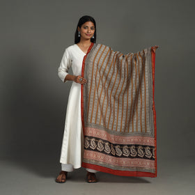  Brown Block Print Chanderi Silk Bagru Dupatta