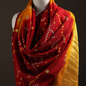 Kutch Bandhani Handwoven Merino Wool Shawl 39