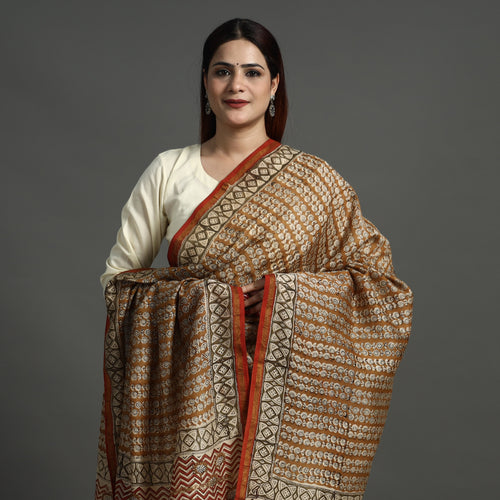 Brown - Bagru Kalamkari Block Printed Chanderi Silk Dupatta with Zari Border 137