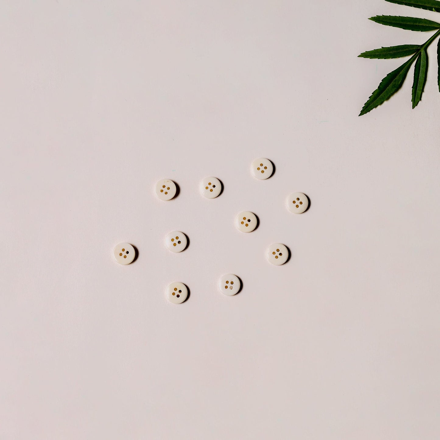 1.2cm hand carved horn clothing button (set of 10) 06