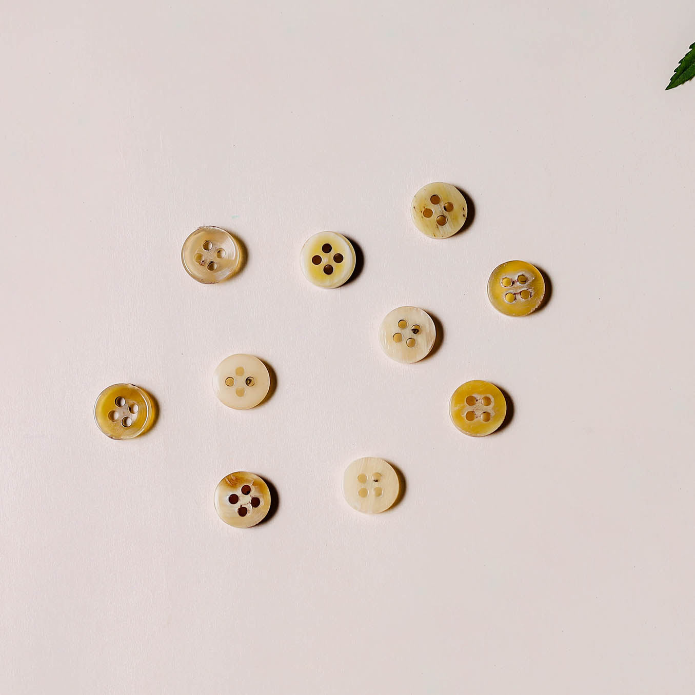 1.2cm hand carved horn clothing button (set of 10) 07