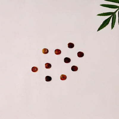 1.2cm hand carved horn clothing button (set of 10) 09