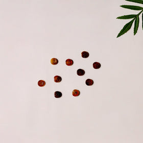 1.2cm hand carved horn clothing button (set of 10) 09