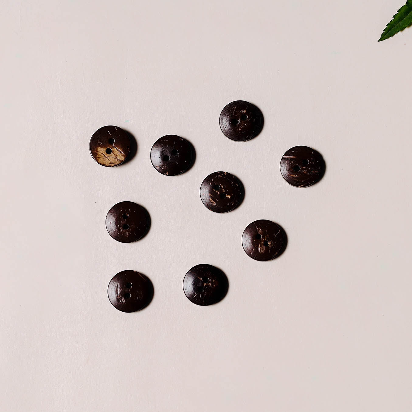 1.4cm hand carved coconut shell clothing button (set of 10)