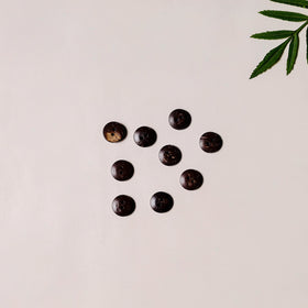 1.4cm hand carved coconut shell clothing button (set of 10)