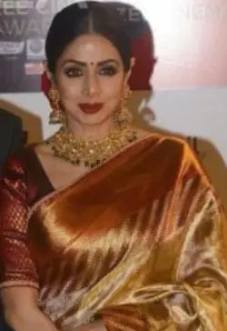 15 celebrities that will make you invest in a silk sari