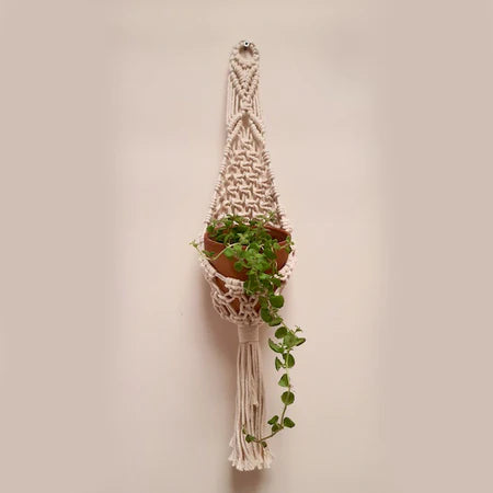 plant hanger