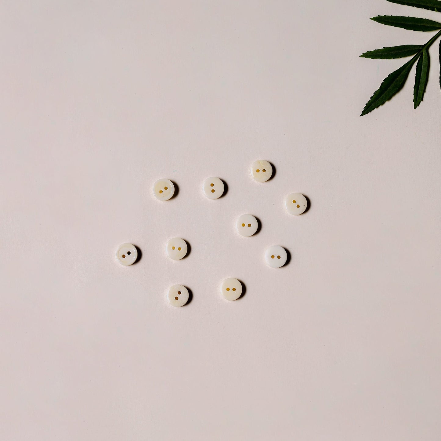 1cm hand carved bone clothing button (set of 10) 20