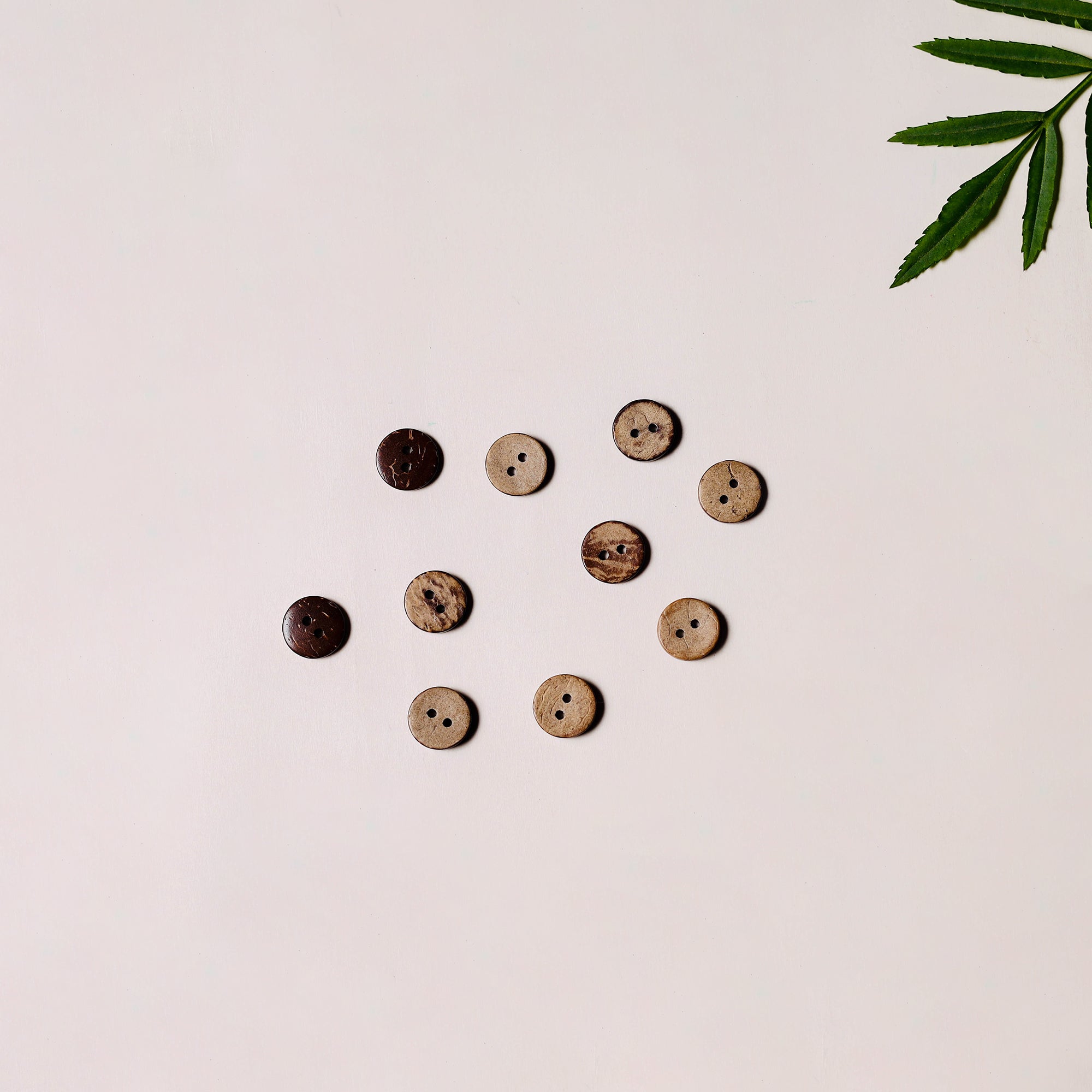 Coconut Shell Clothes 1cm Hand Carved Coconut Shell Clothing Button (Set of 10)