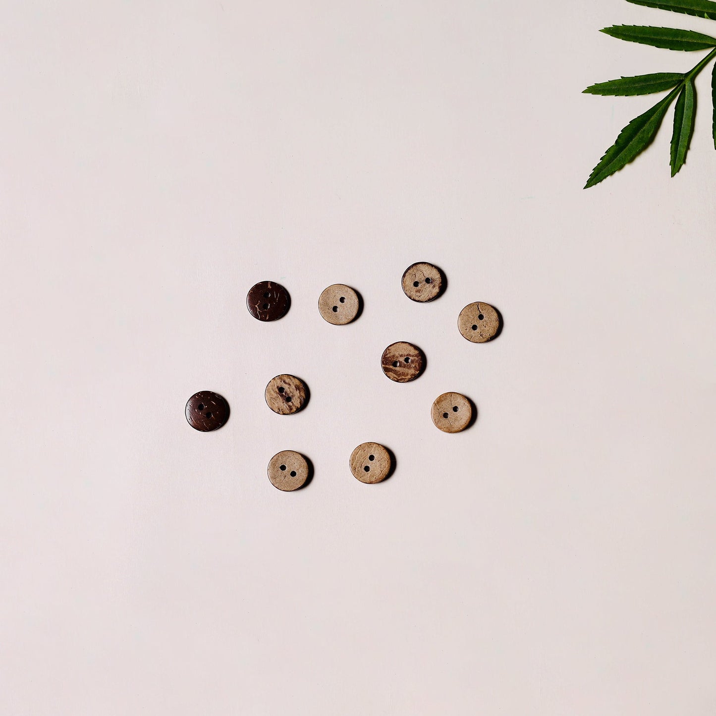 1cm hand carved coconut shell clothing button (set of 10)