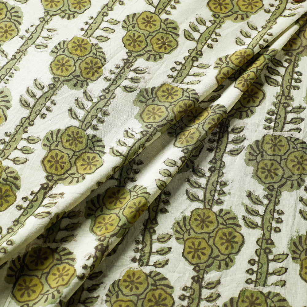 Bagru Fabric 