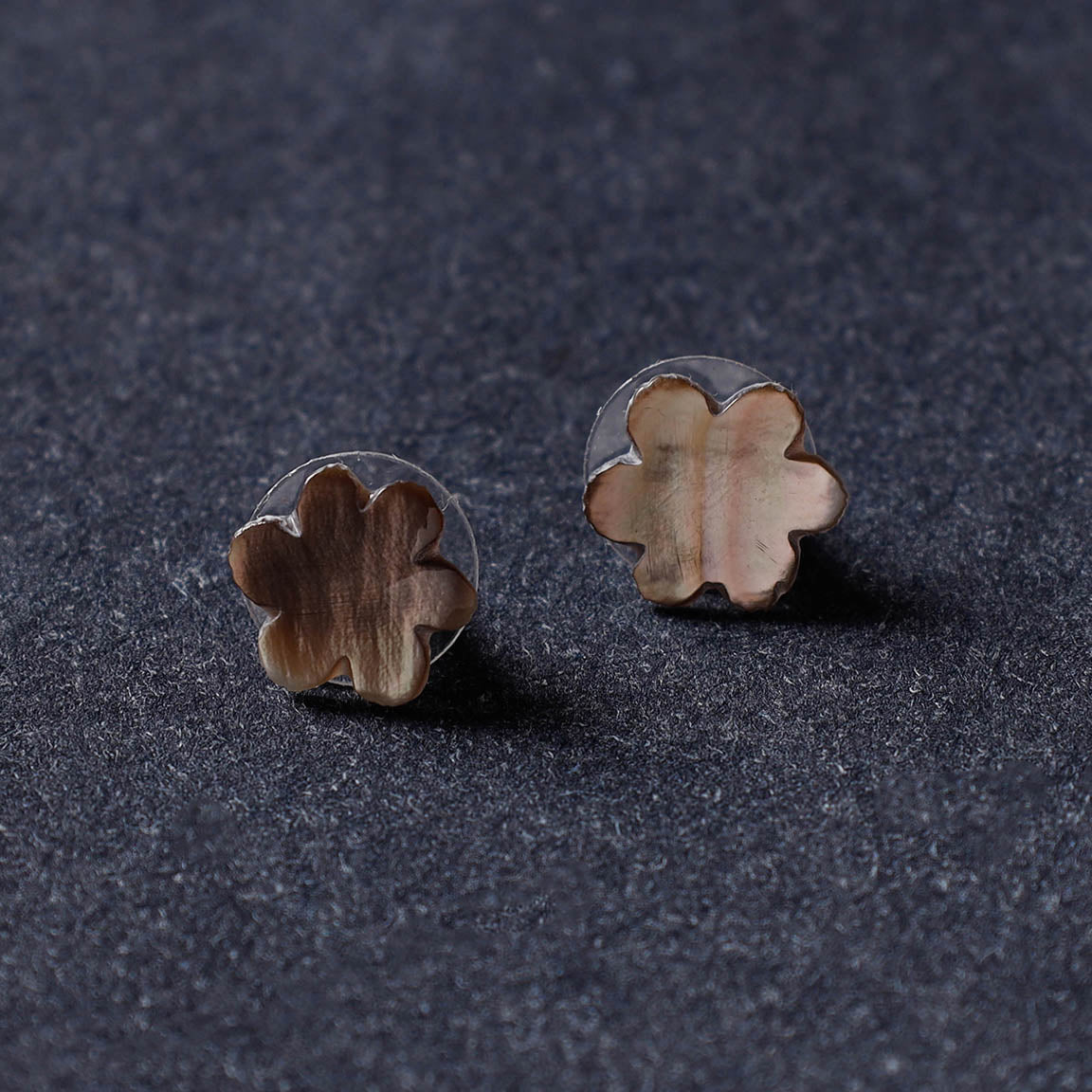 seashell earrings