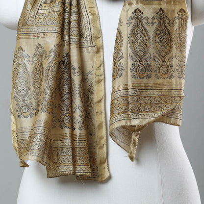 Beige - Pedana Kalamkari Block Printed Chanderi Silk Stole With Zari Border 10