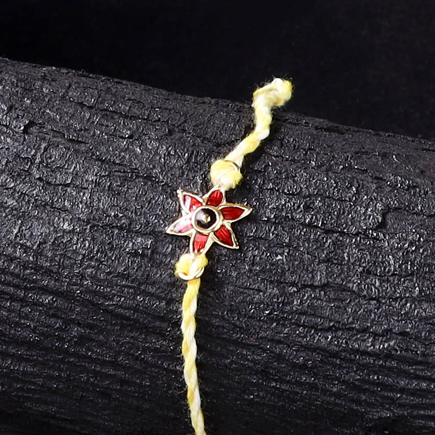 Handcrafted Meenakari Rakhi for Brother with Coir Box 32