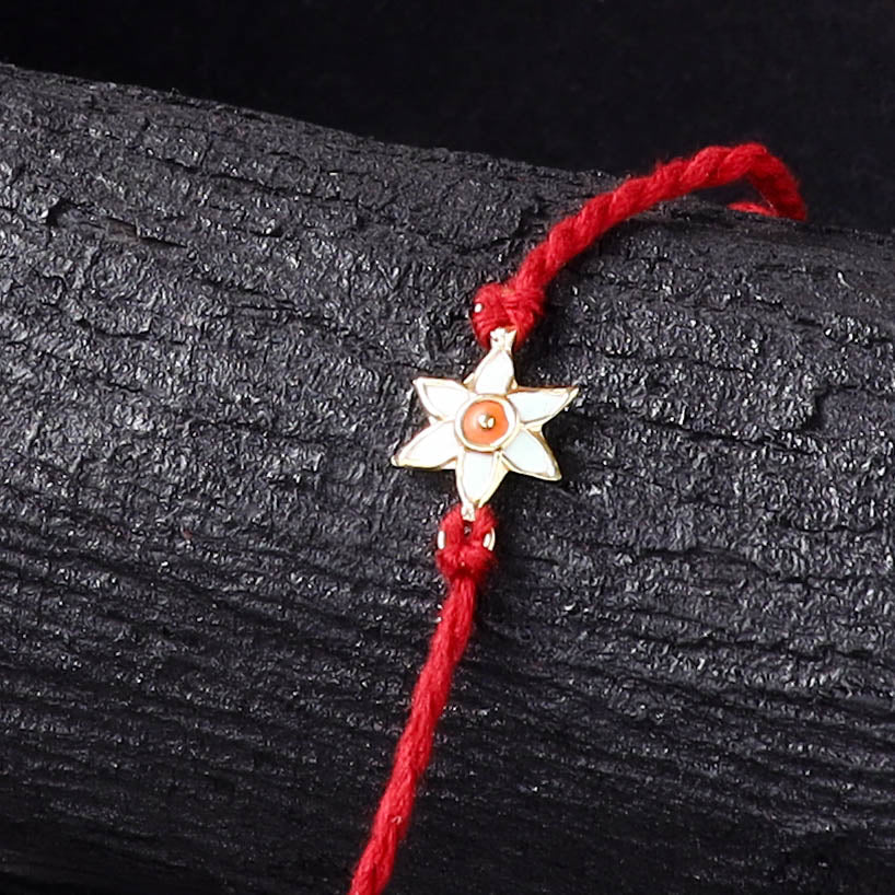 Handcrafted Meenakari Rakhi for Brother with Coir Box 34
