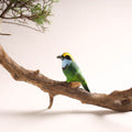 Handcrafted Paper Mache Broadbill Bird Home Decor Item 03
