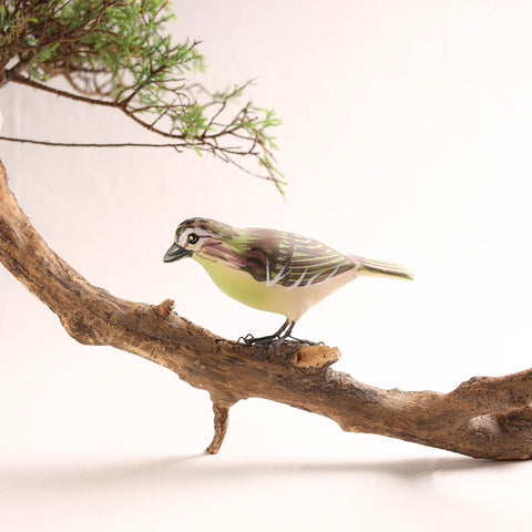 Handcrafted Paper Mache Vireo Bird Home Decor Item 10
