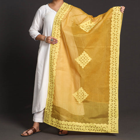 Applique work Dupatta
