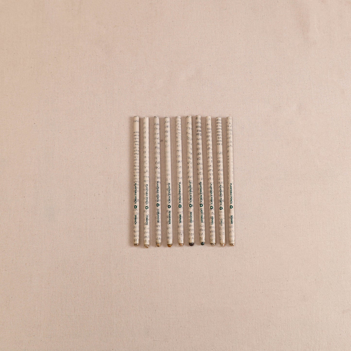 Eco-Friendly Plantable Seed Handmade Paper Pencil (Set of 10) 02