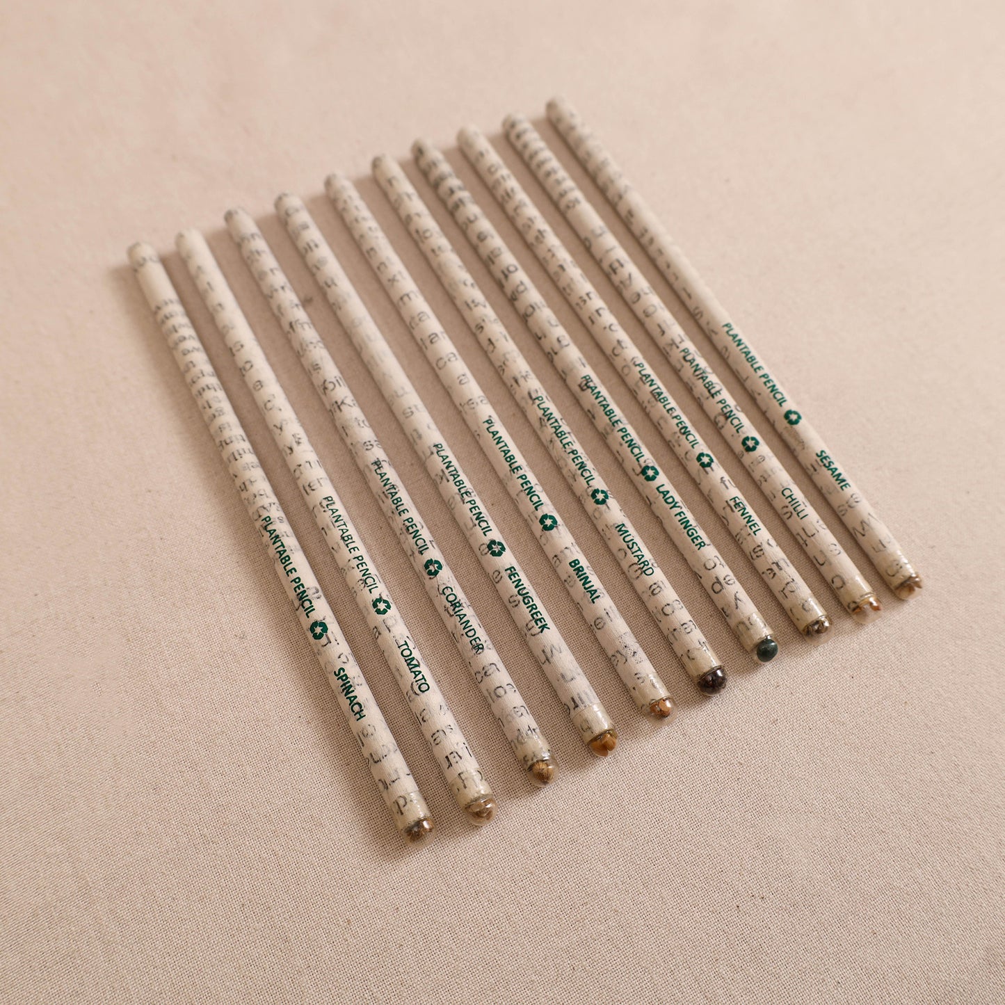 Eco-Friendly Plantable Seed Handmade Paper Pencil (Set of 10) 02