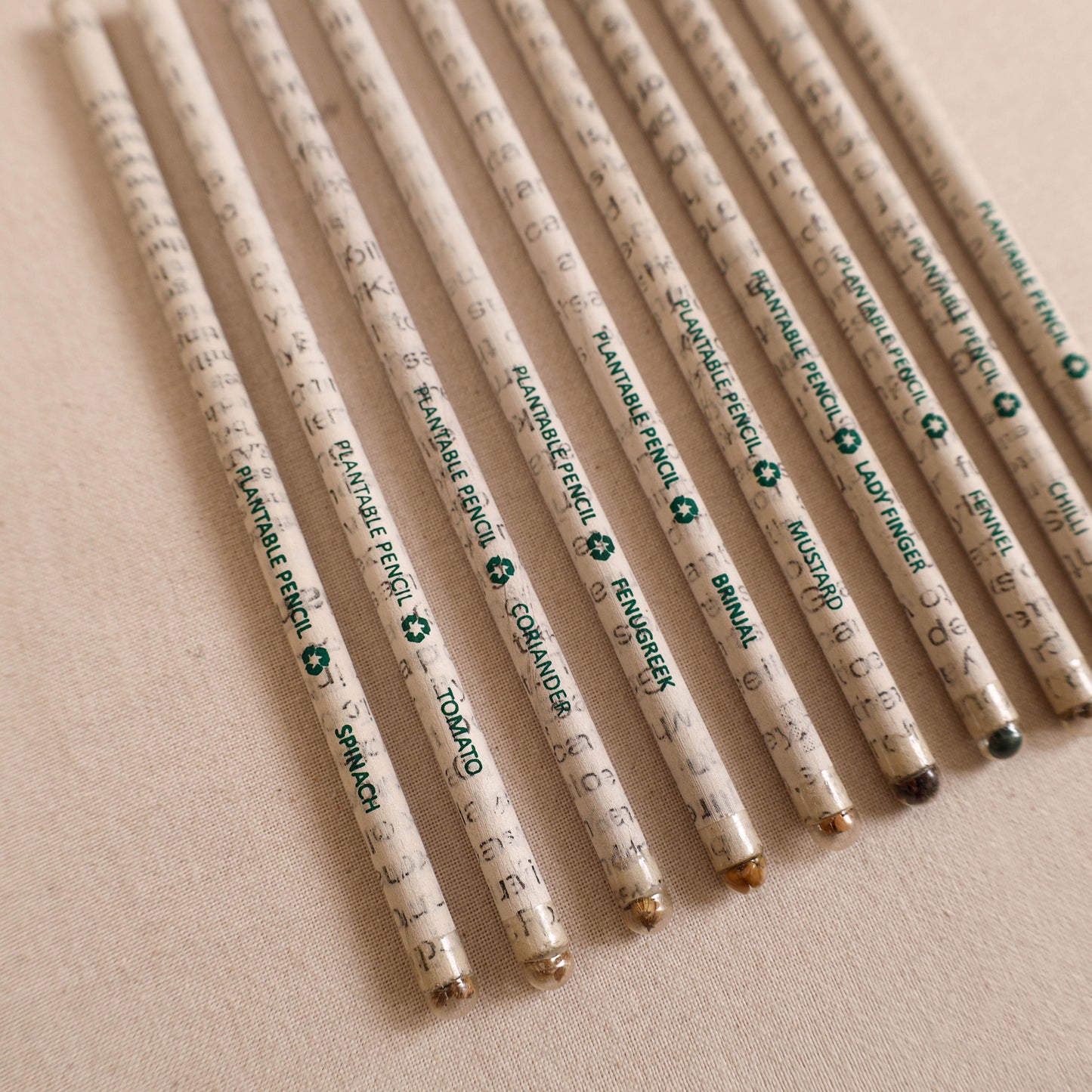 Eco-Friendly Plantable Seed Handmade Paper Pencil (Set of 10) 02