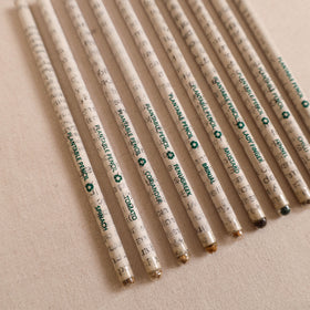 Eco-Friendly Plantable Seed Handmade Paper Pencil (Set of 10) 02