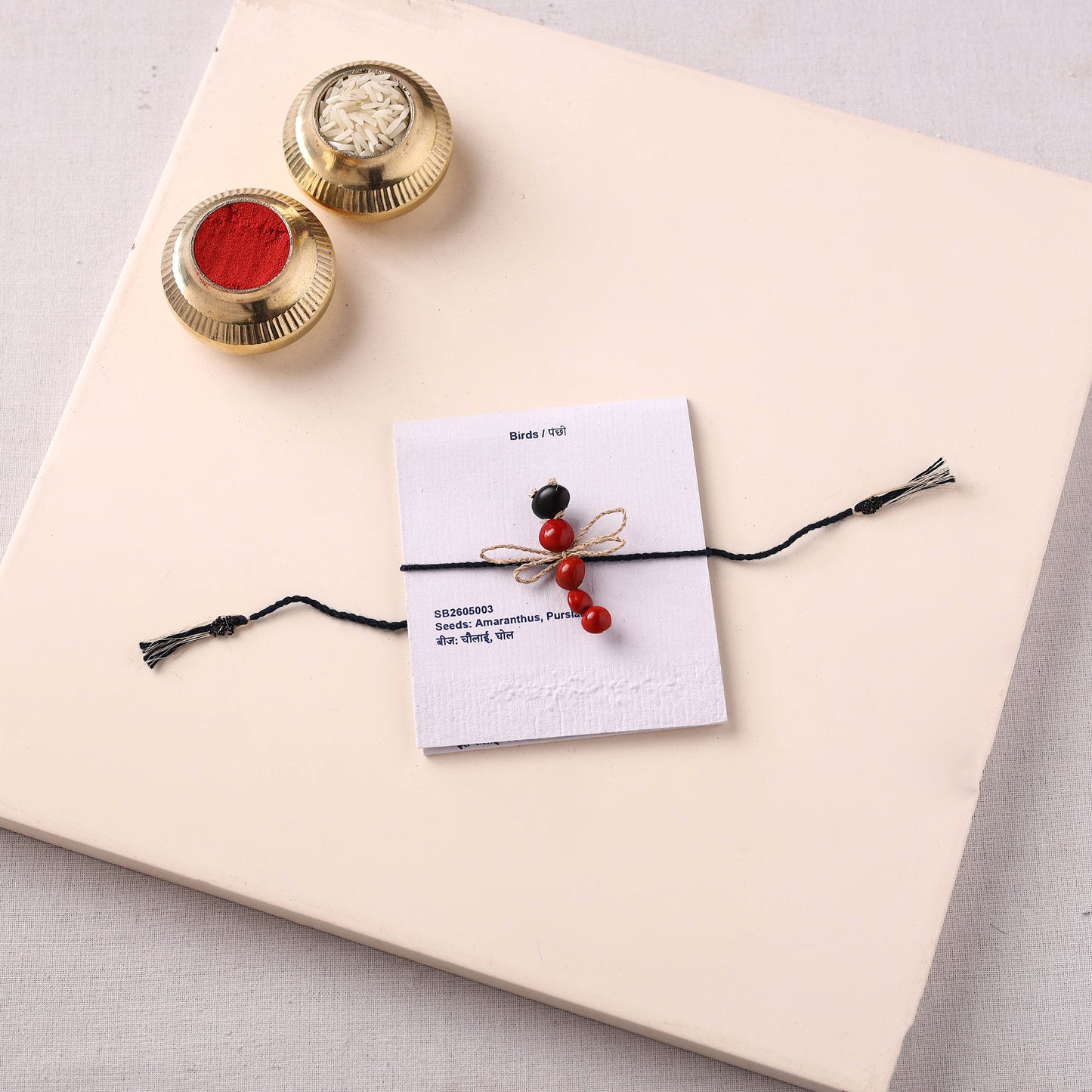 Dragonfly - Handmade Eco-Friendly Plantable Seed Rakhi 01