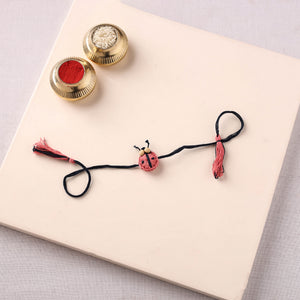 Beetle - Handmade Eco-Friendly Plantable Seed Rakhi 09