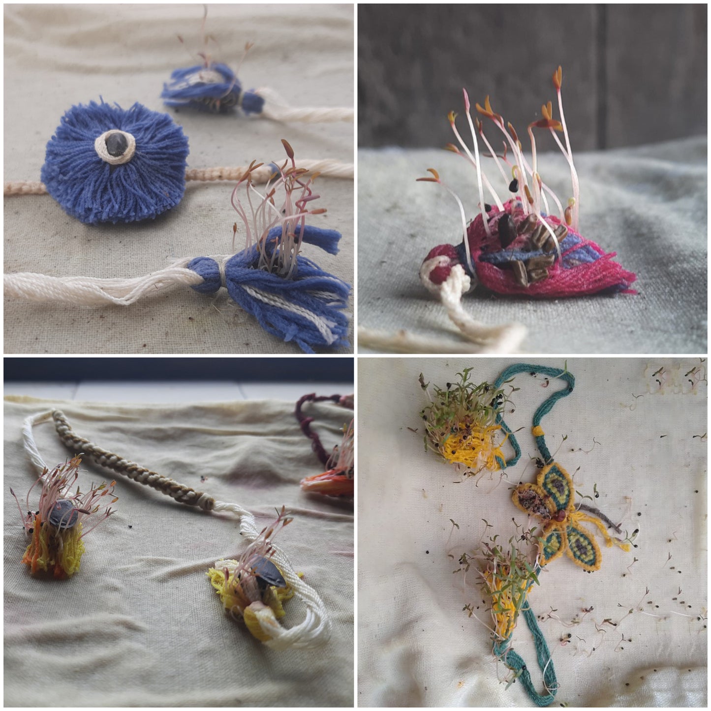 Flower - Handmade Eco-Friendly Plantable Seed Rakhi 06