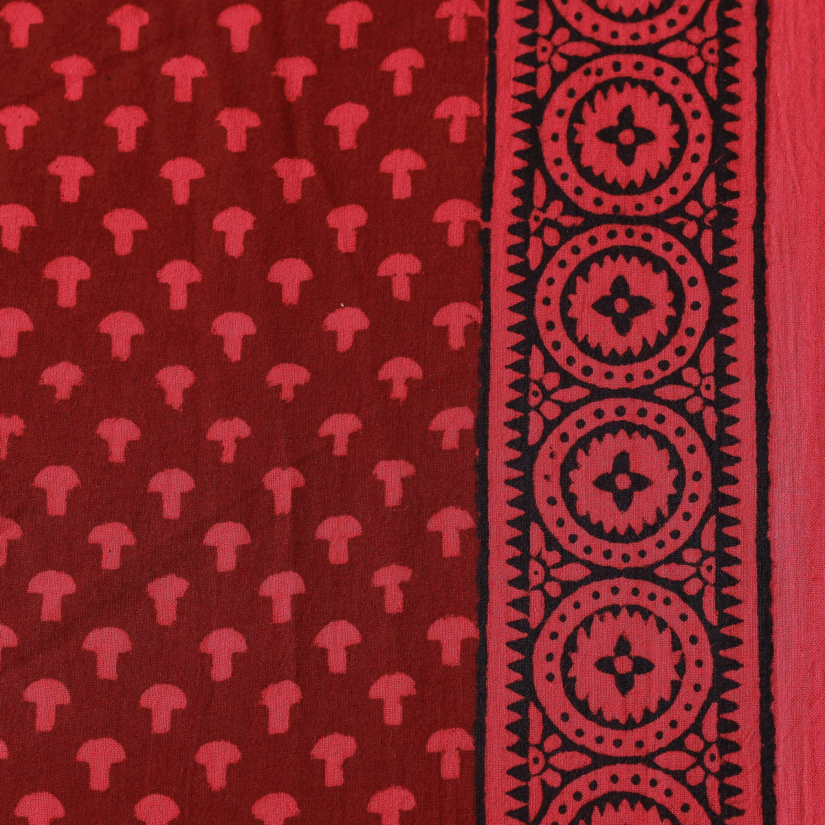 bagh print fabric