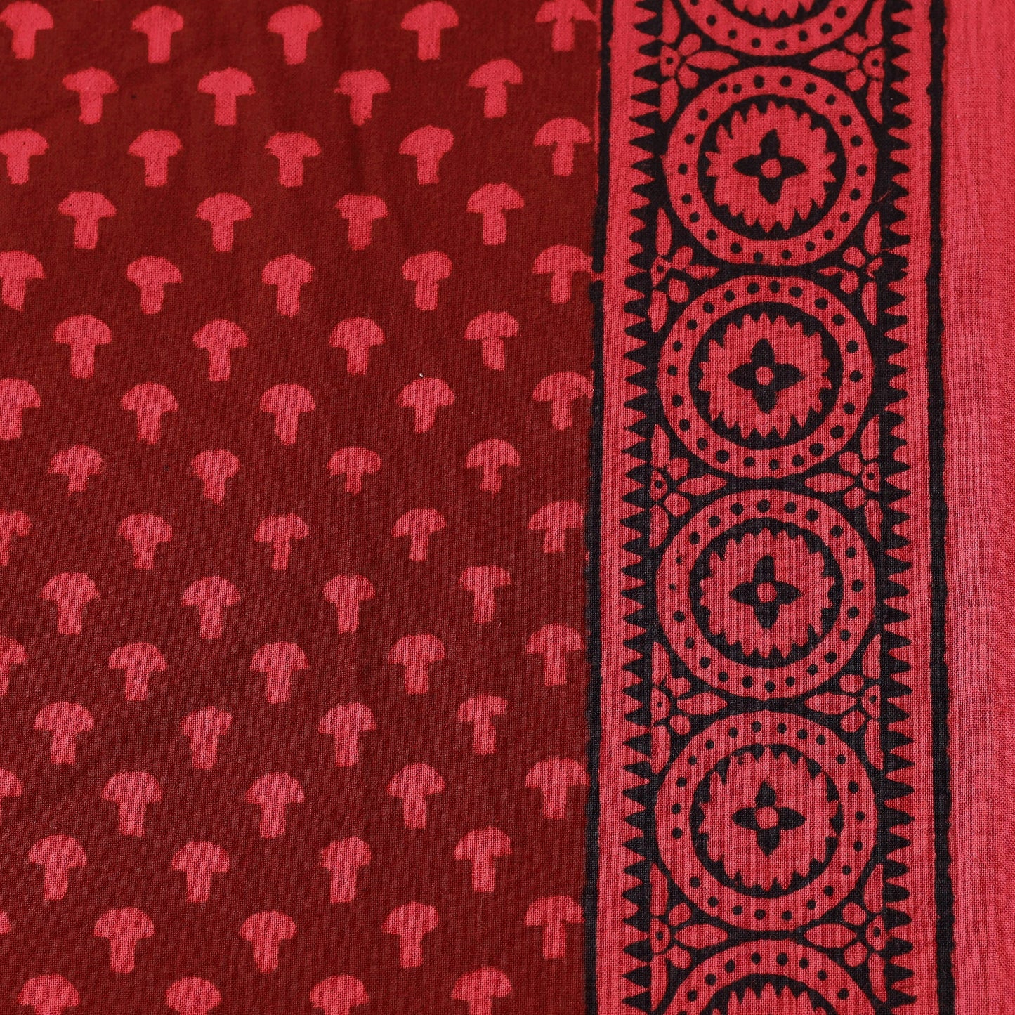 bagh print fabric