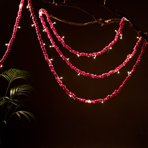Handmade Decorative DIY Fairy Light (10m) 32