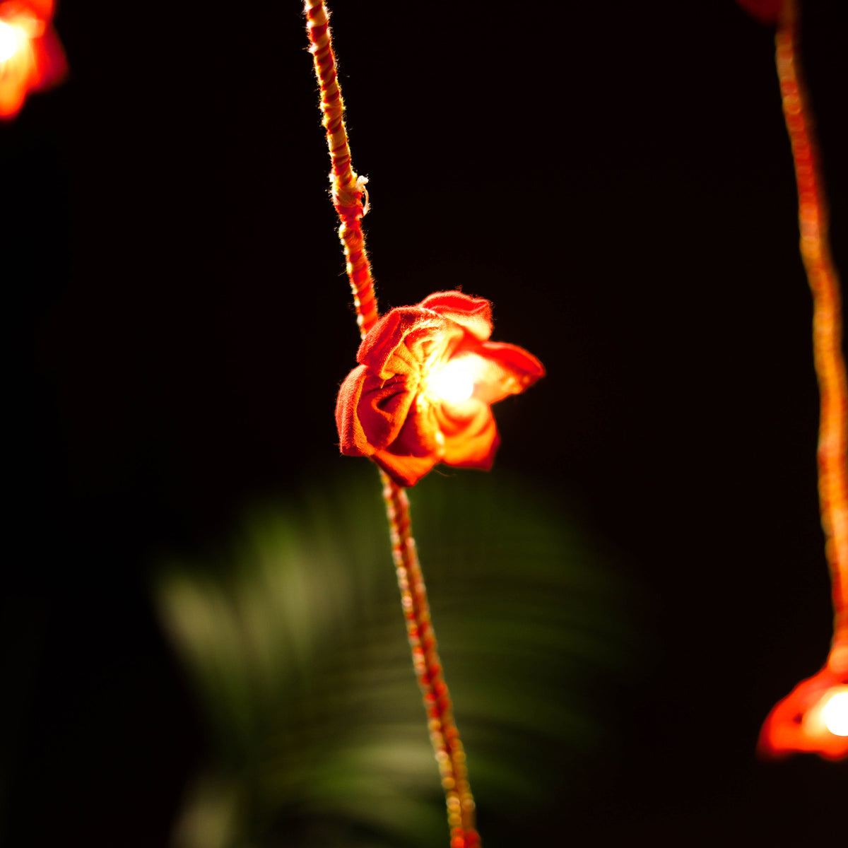 Handmade Decorative DIY Fairy Light (10m) 52