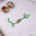 Green - Handcrafted Turtle Plantable Seed Kids Rakhi 05