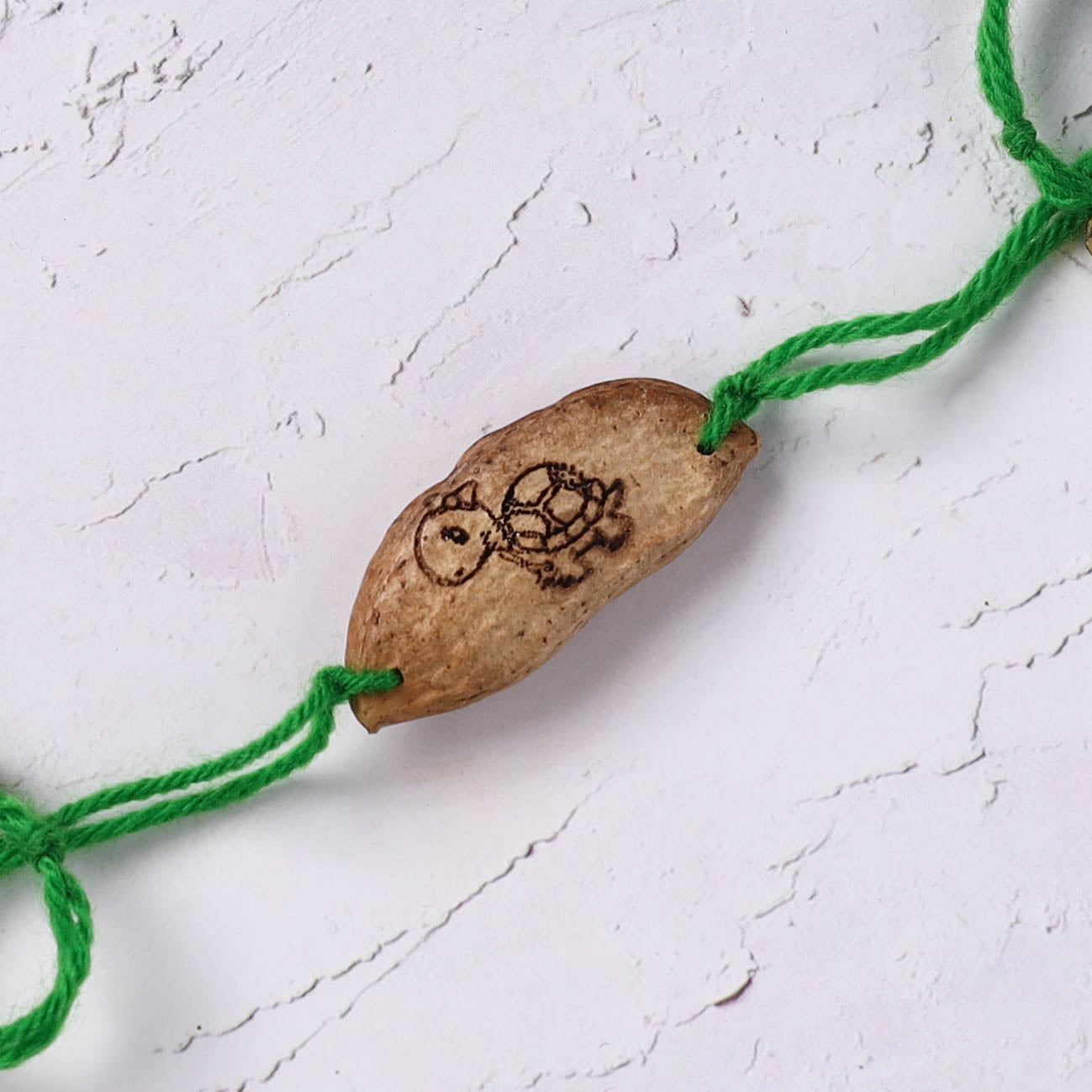 Green - Handcrafted Turtle Plantable Seed Kids Rakhi 05