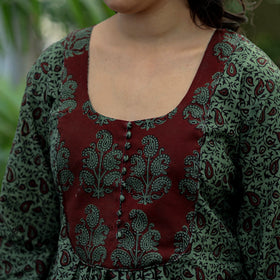 Bagh Printed kurta