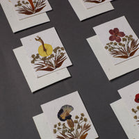 Flower Art Handmade Paper Greeting Cards (Set of 6)