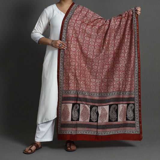 Red - Bagh Block Printed Natural Dyed Maheshwari Silk Dupatta