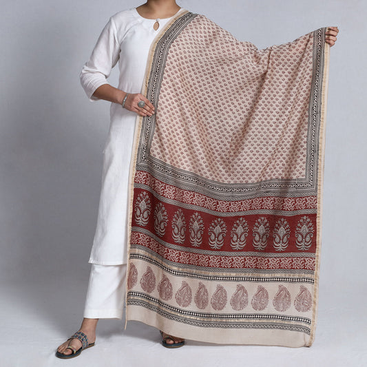 Multicolor - Bagh Block Printed Natural Dyed Chanderi Silk Handloom Dupatta with Zari Border
