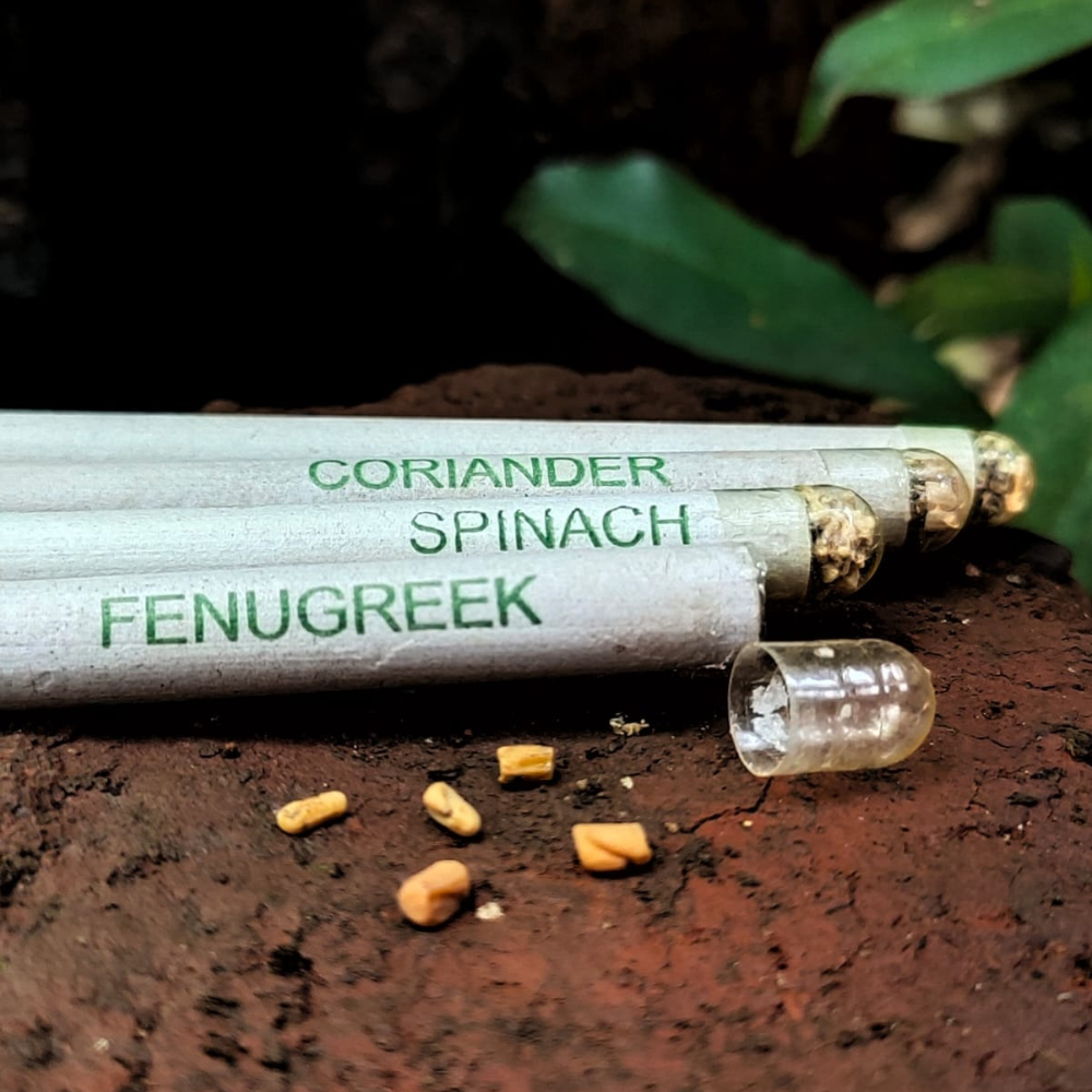 Handmade Seed Pencils – (Pack of 10)