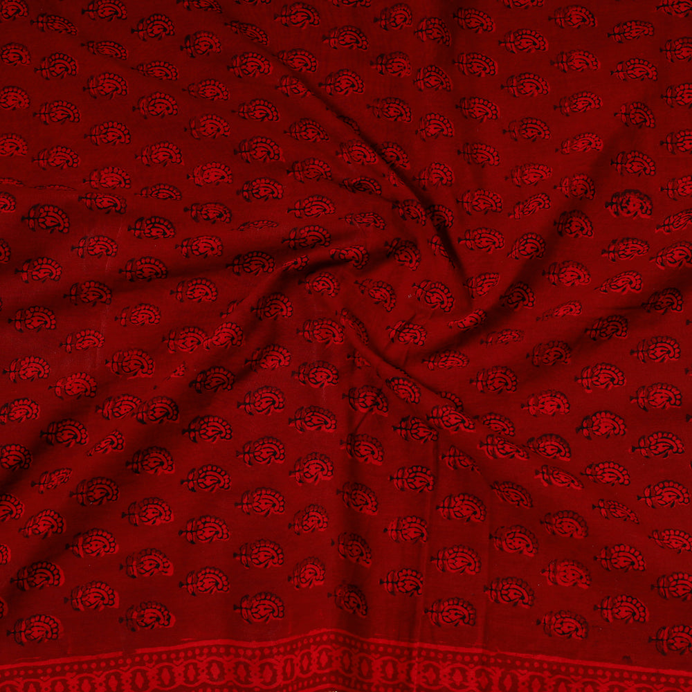 Bagh Precut Fabric