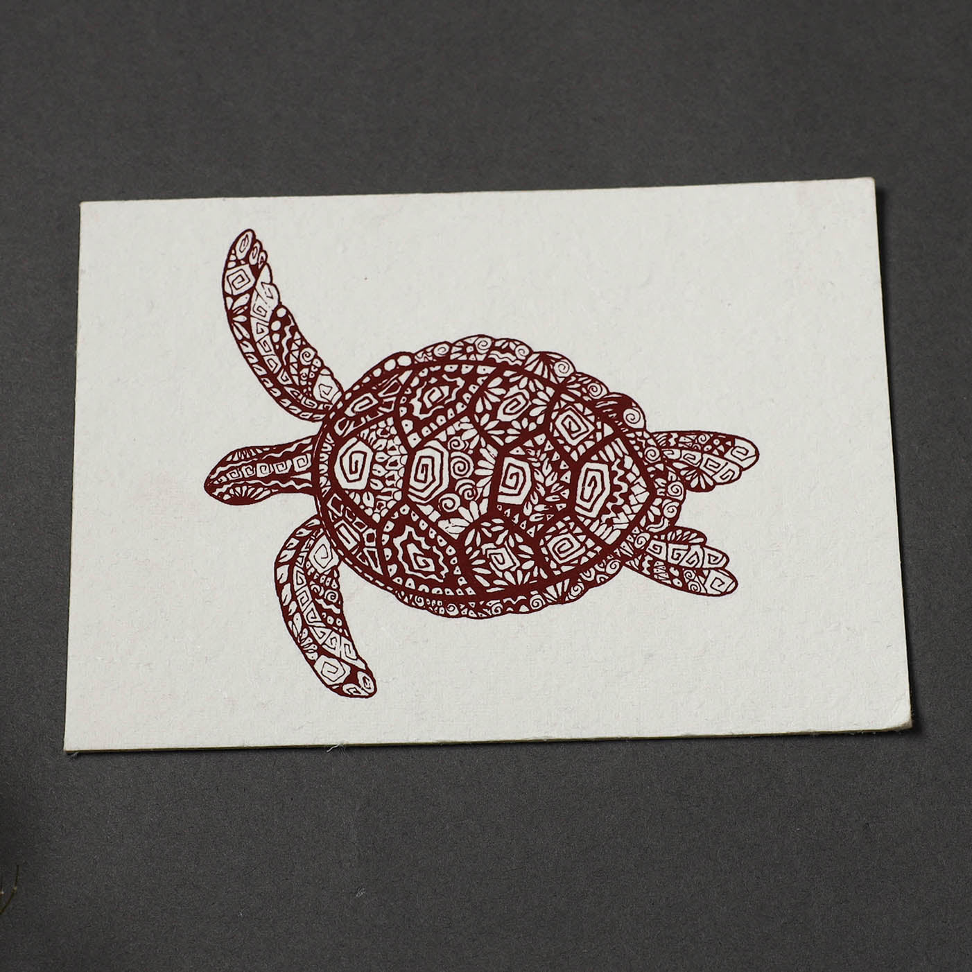 Turtle - Handmade Paper Post Card